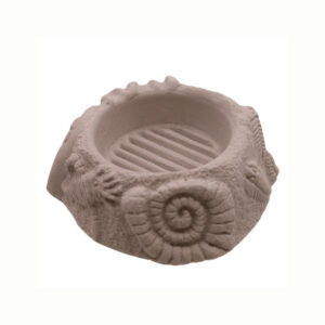 Wild Berry - Cement Round Fossil